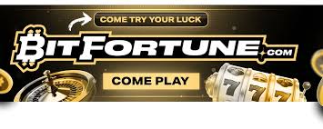 Comprehensive Guide to Setting Up Bitfortune Live Rooms