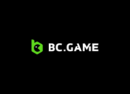 Understanding the Terms & Conditions of BC.Game -1229704698 Understanding the Terms & Conditions of BC.Game -1229704698